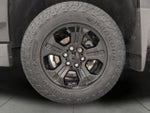 2019 Chevrolet Silverado LD Double Cab Standard Box 4-Wheel Drive LT Z71 All Star Edition