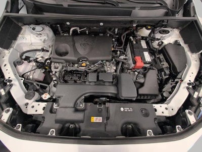 2025 Toyota RAV4 XLE AWD (Natl)