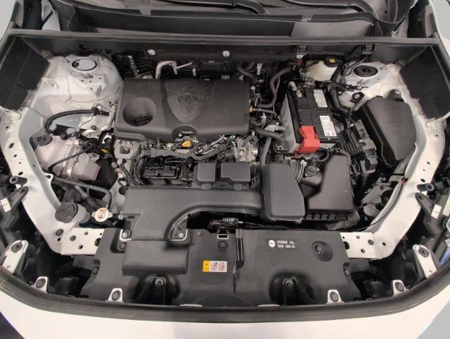 2025 Toyota RAV4 XLE AWD (Natl)