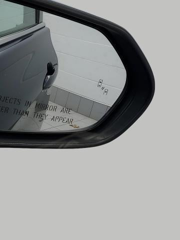 2019 Toyota Avalon XLE (SE)