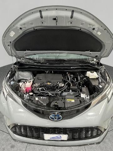 2023 Toyota Sienna XSE FWD 7-Passenger (Natl)